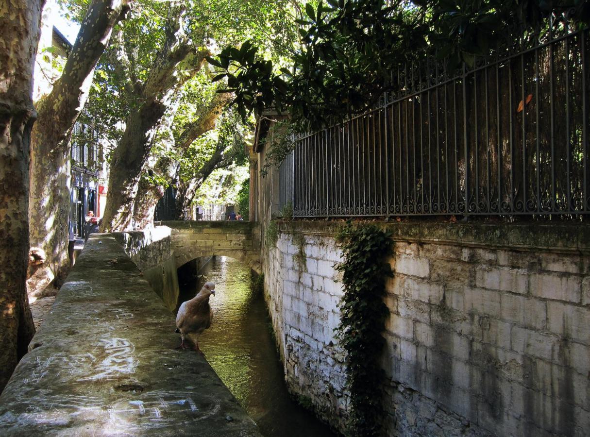 L'Heure Bleue - Charme Et Histoire Au Coeur D'Avignon Apartamento Exterior foto